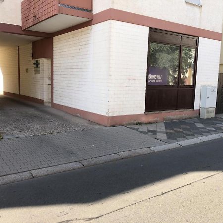 Monteurwohnung Im Zentrum Worms Esterno foto